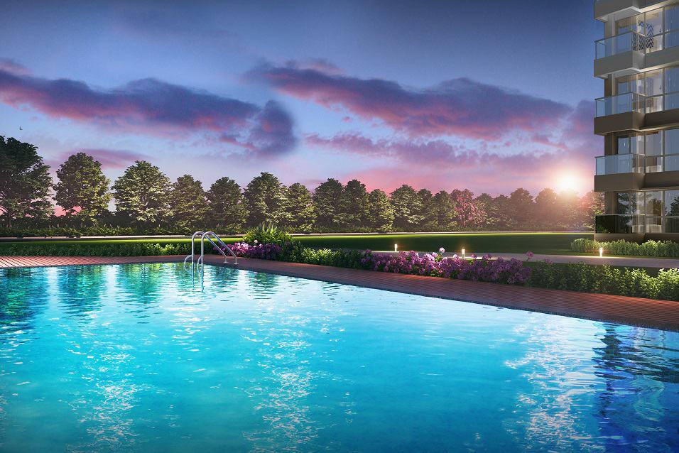 Infinity Pool